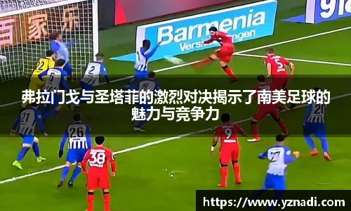 JN江南.体育
