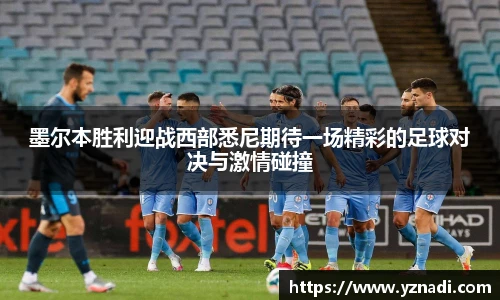 江南app.体育