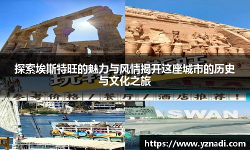 江南.体育jn