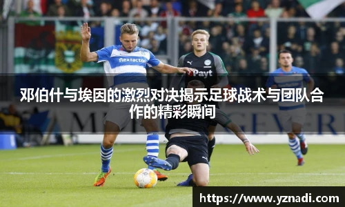 jn体育官网