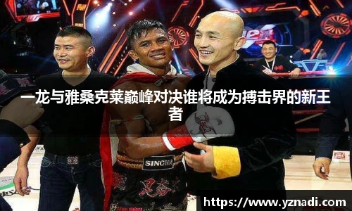 jn体育官网