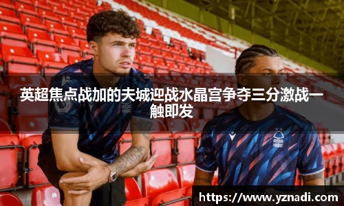 英超焦点战加的夫城迎战水晶宫争夺三分激战一触即发
