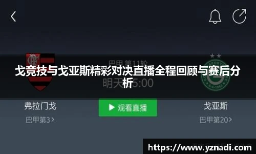 雷火亚洲电竞网址